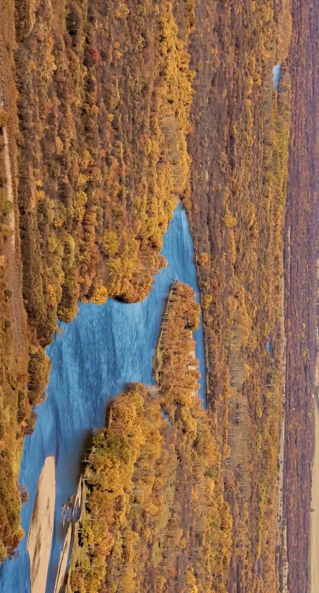 最美秋色——大興安嶺