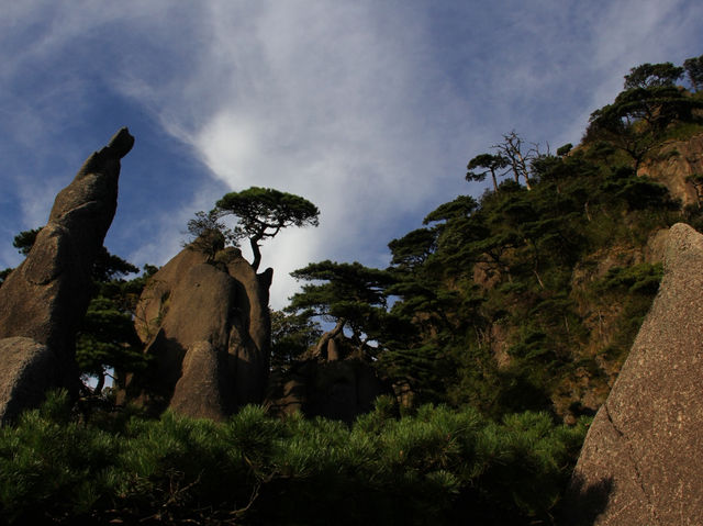 三清山林日落賞景攻略🌄