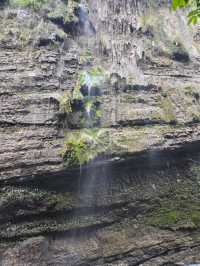 雲龍地縫懶人攻略