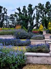 空中步廊俯瞰花草描繪的彩色大地。