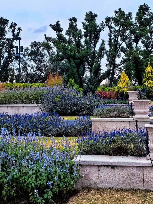 空中步廊俯瞰花草描繪的彩色大地。