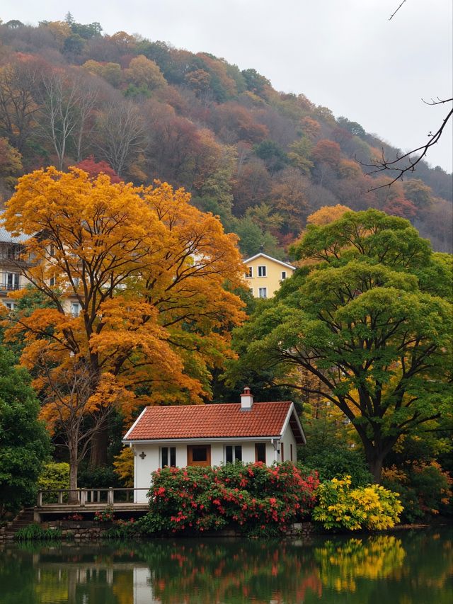 秋天的調色盤打翻在雲平山|小眾秘境等你來探 秋天的調色盤打翻在雲平山|小眾秘境等你來探