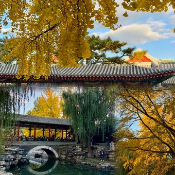 北京絕美秋日暴走路線胡同Citywalk+中山公園賞銀杏 北京絕美秋日暴走路線胡同Citywalk+中山公園賞銀杏