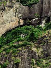 人在旅途、溫州