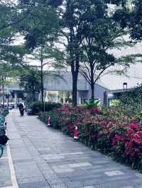 1 month in China!! 🇨🇳 