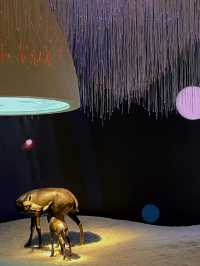 旅行plog丨南京打卡小眾景點