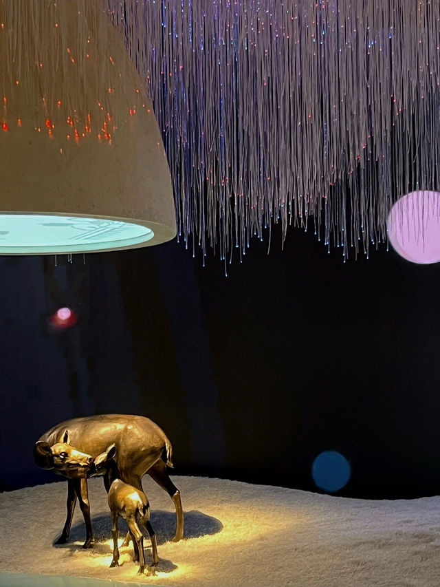 旅行plog丨南京打卡小眾景點