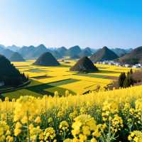 雲南曲靖4天3晚家庭旅遊攻略（預算：約4000元）】