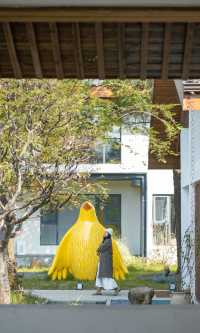 銀杏瀑布、紅葉滿山 鄭州周邊小眾賞秋路線