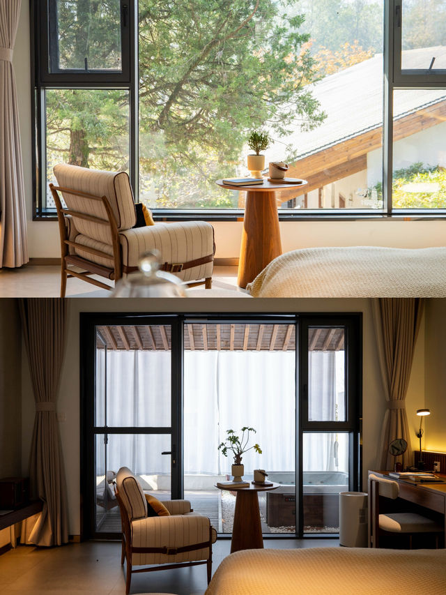 鄭州周邊秋日私藏線!賞千年銀杏,看紅葉漫山 鄭州周邊秋日私藏線!賞千年銀杏,看紅葉漫山