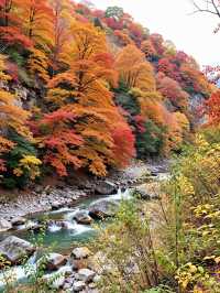 別再擠香山啦！私藏0元秘境，北京紅葉天花板！