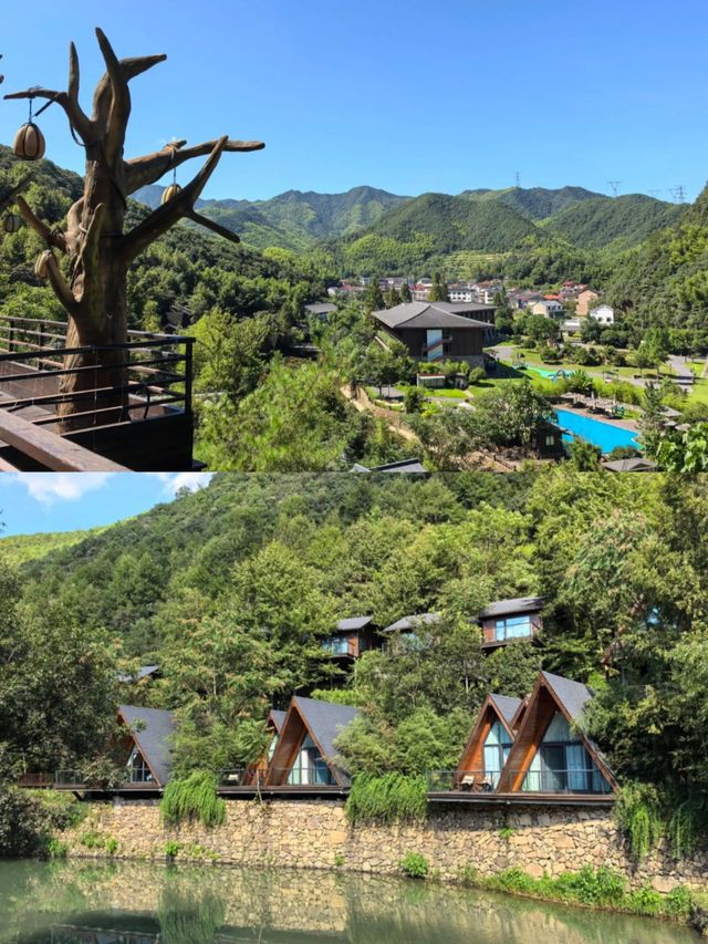 諸暨芳草地，住進了森林裡！