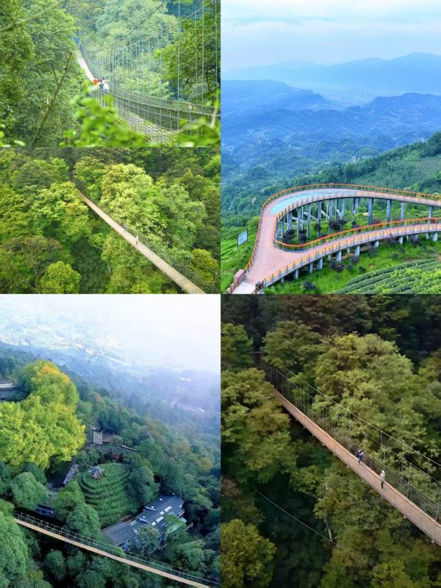 蒙頂山登天蓋寺觀雲海觸摸天空的藍