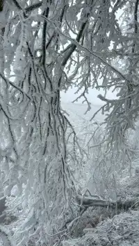 年初帶著師父的任務拜訪廬山仙人洞道院