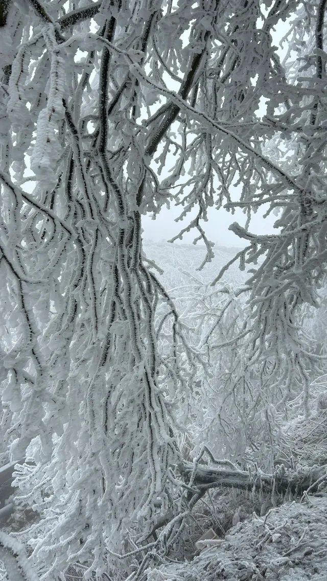年初帶著師父的任務拜訪廬山仙人洞道院 年初帶著師父的任務拜訪廬山仙人洞道院