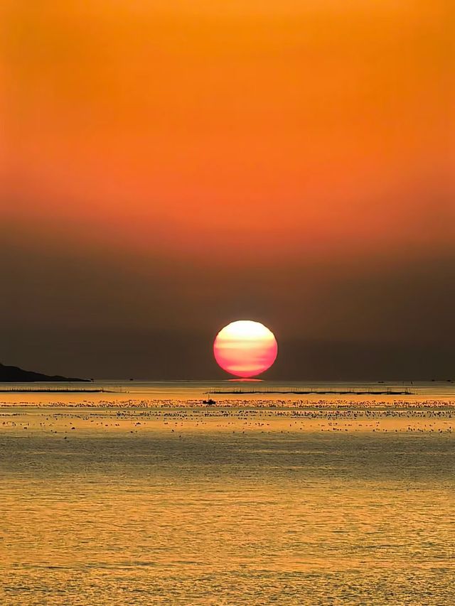 青島浪漫:洲際躺平+奧帆日出+爬山 青島浪漫:洲際躺平+奧帆日出+爬山