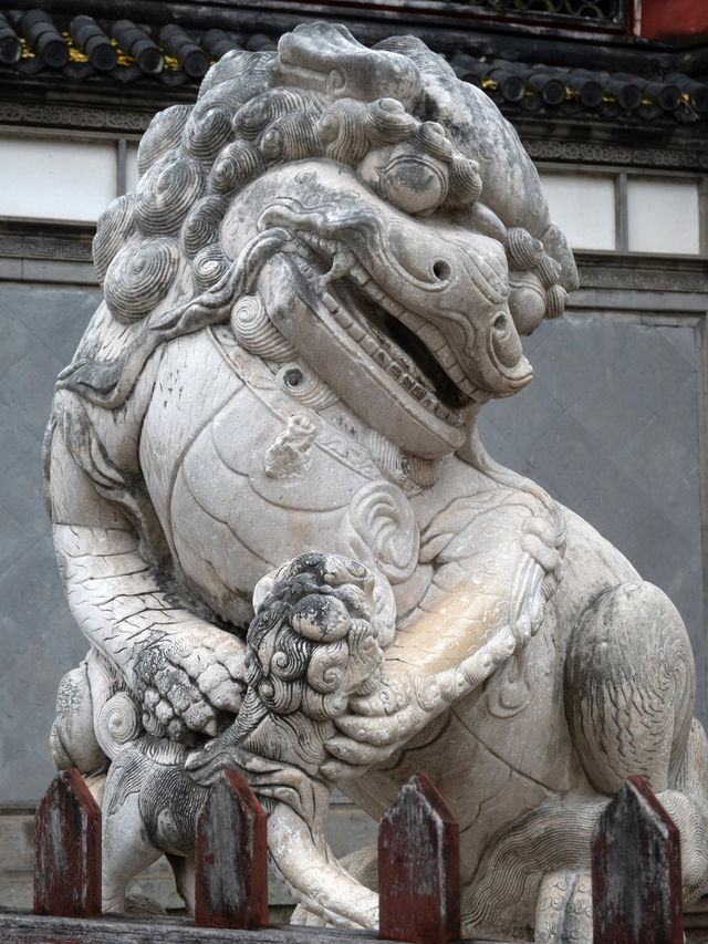 鹽官古城現場吃瓜乾隆是陳閣老的兒子！