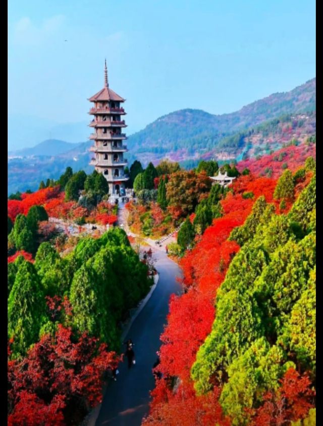 北國秋日仙境!紅葉谷絕美打卡攻略 北國秋日仙境!紅葉谷絕美打卡攻略