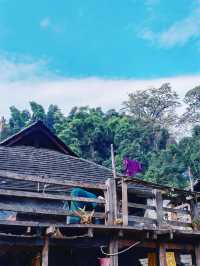 世遺糯乾古寨~在千年茶山與雲海之間穿梭