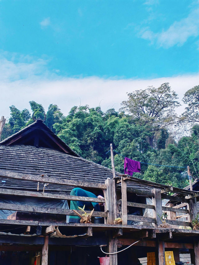 世遺糯乾古寨~在千年茶山與雲海之間穿梭 世遺糯乾古寨~在千年茶山與雲海之間穿梭