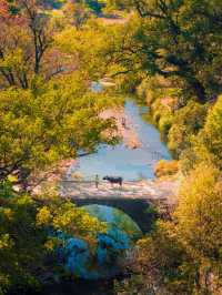 江西賞秋寶藏地