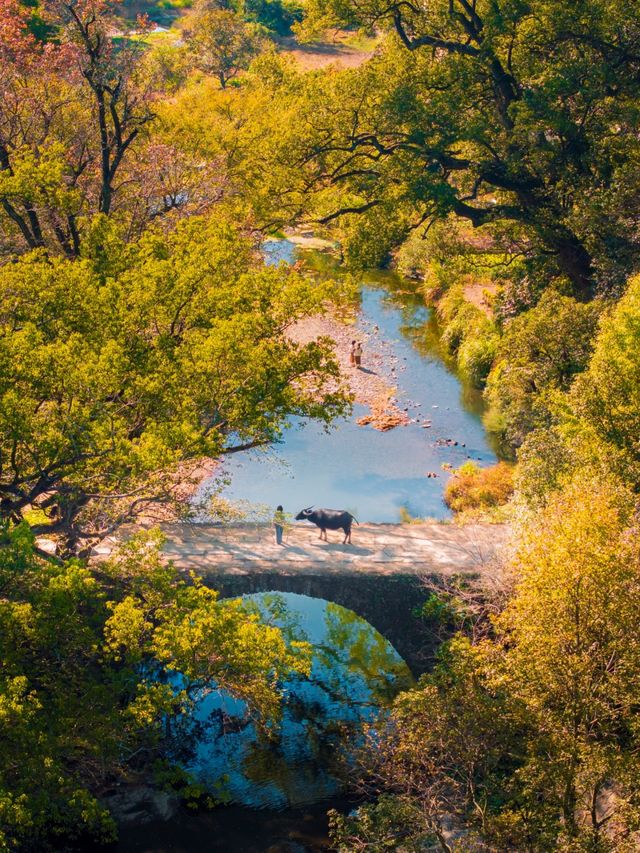 江西賞秋寶藏地