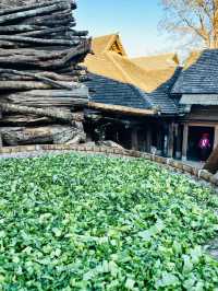 世遺翁基古寨~在景邁山千年布朗古寨,賞夕陽晚霞