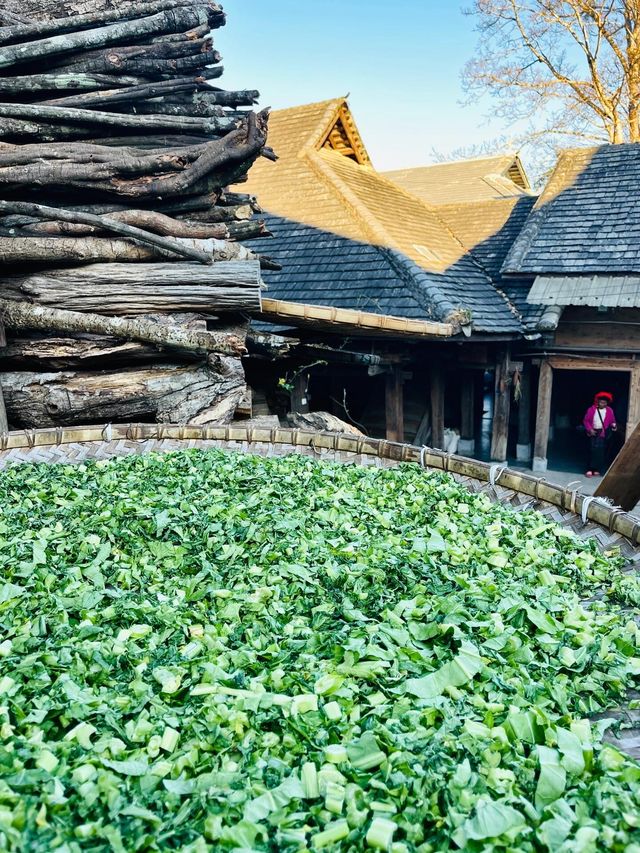 世遺翁基古寨~在景邁山千年布朗古寨,賞夕陽晚霞 世遺翁基古寨~在景邁山千年布朗古寨,賞夕陽晚霞