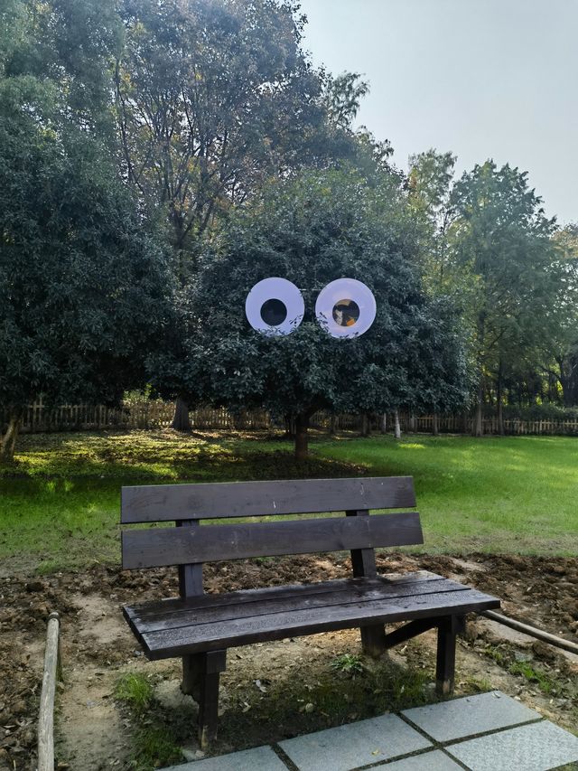 南京綠博園 拍照打卡休閒觀景溜娃走起來