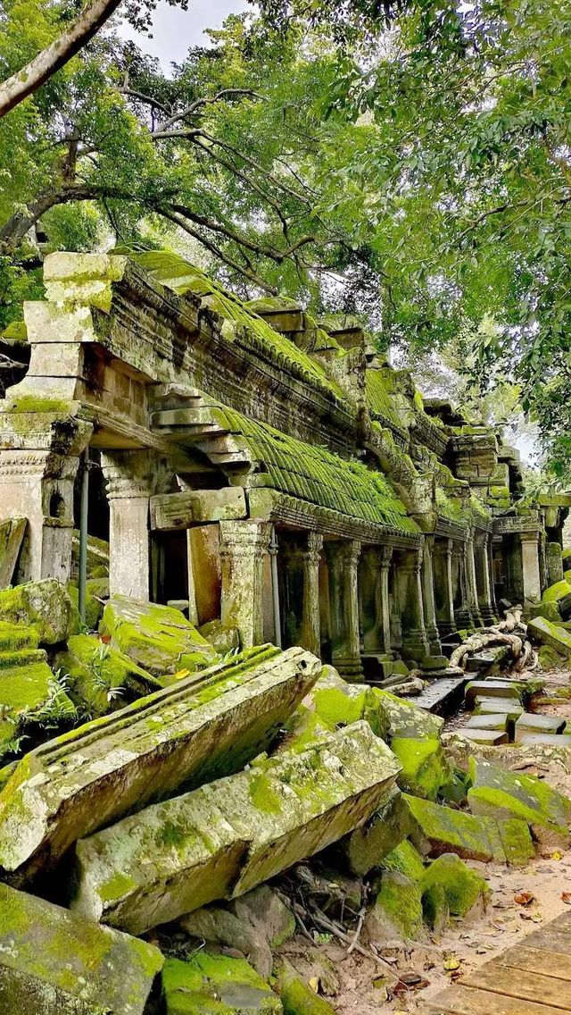 驚爆!5天8000玩轉柬埔寨美景!