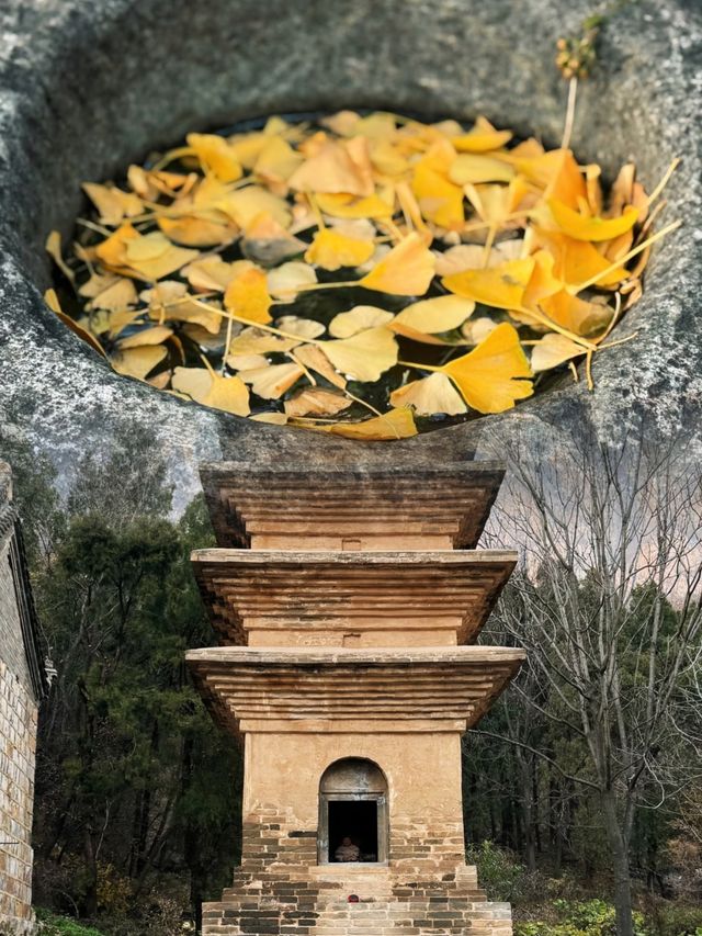 尋秋嵩山三祖庵這座金代國保太絕了！