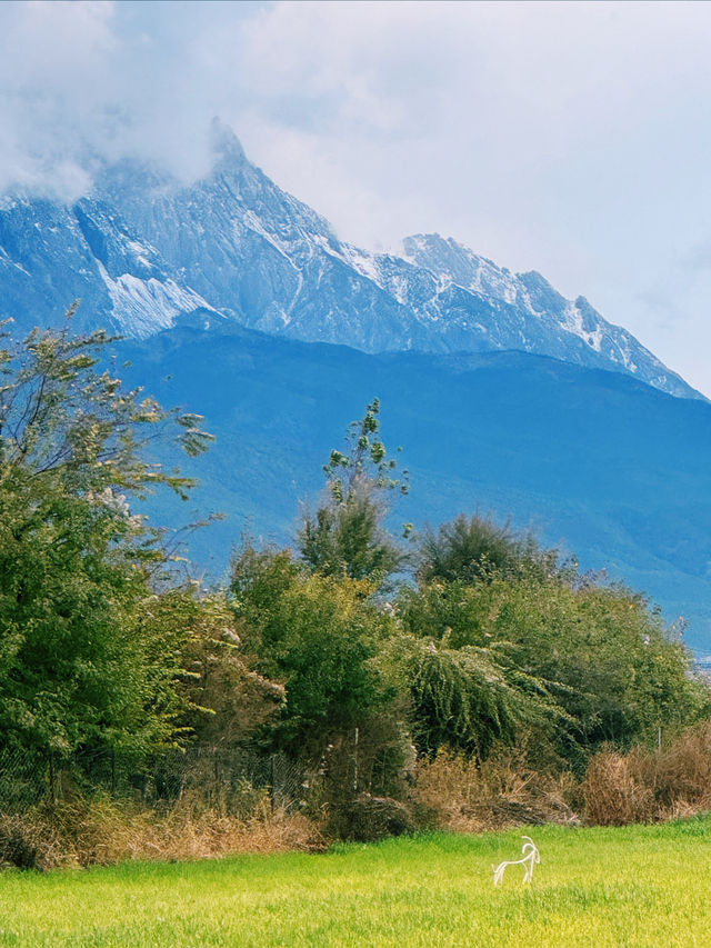 來麗江必拍雪山仙境