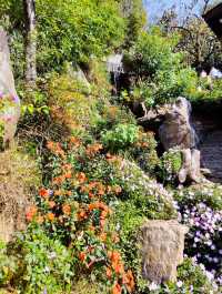 婺源篁嶺：曬出來的千年詩意 當金秋的陽光灑在篁嶺的黛瓦上，一幅流動的千年畫卷就此展開。婺源這座「中