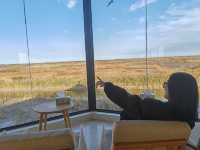 走進一片世外桃源~東灘濕地好美