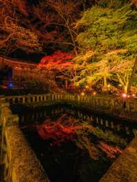 爆美！！！奈良室生寺紅葉燈光展·小眾秘境打卡指南