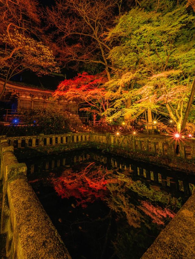 爆美！！！奈良室生寺紅葉燈光展·小眾秘境打卡指南