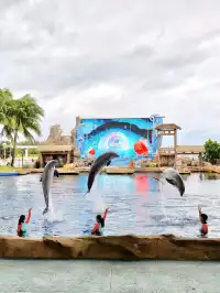 陵水親子酒店天花板現實版童話宮殿