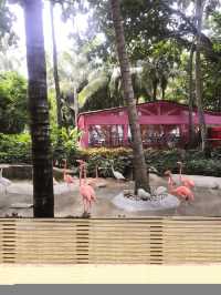 秋遊三亞包車打卡超chill行程