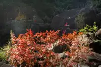 福安白雲山九龍洞，南門出發全攻略!