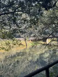 室外遛娃｜諸暨五泄 闖入秋葉世界