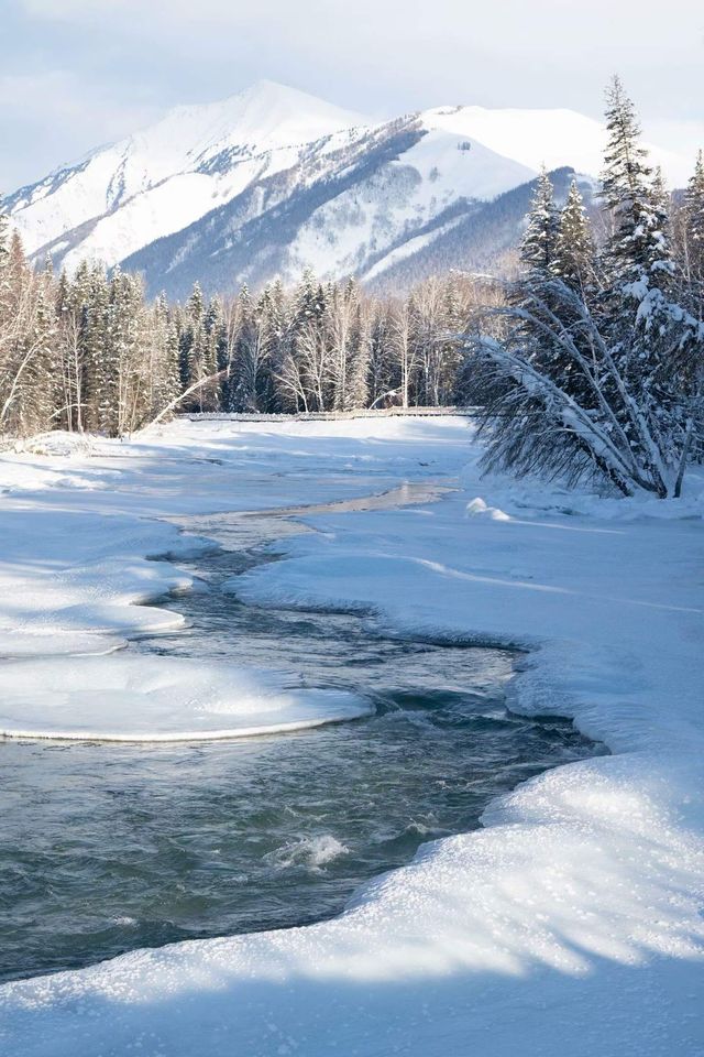 冰雪覆蓋的村落 冰雪覆蓋的村落