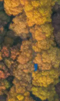 暮秋風起染金陵 我拍到一整個南京的秋天