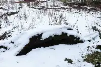 跟我們德陽出發每週去野吧！