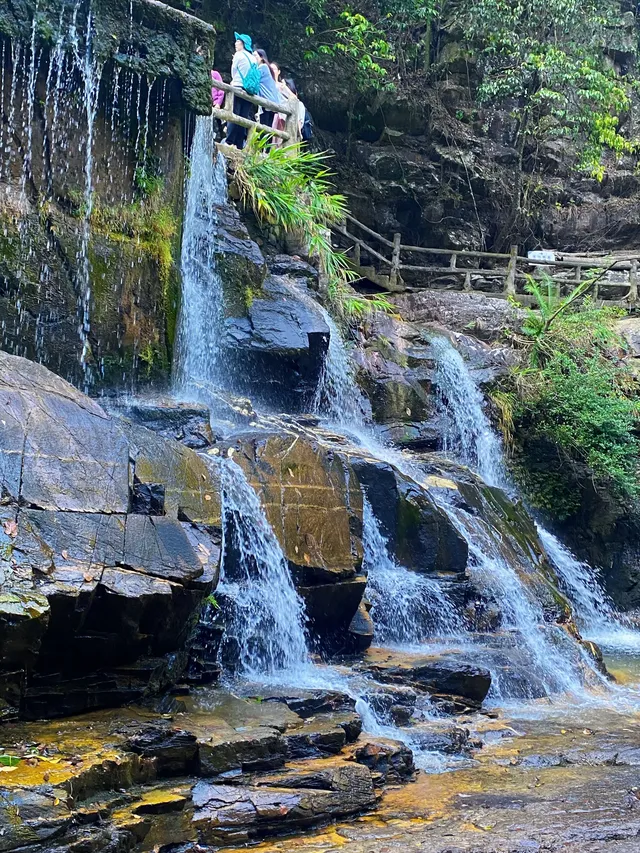 肇慶·鼎湖山 肇慶·鼎湖山