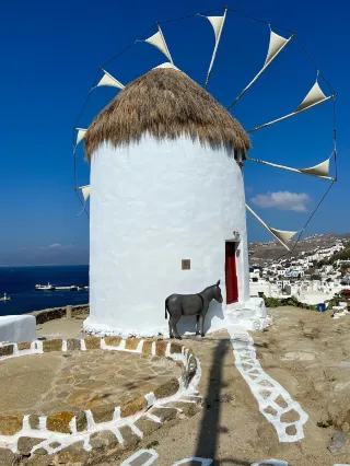 The White Pearl of the Aegean Sea, Mykonos Island