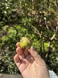 神仙谷隱藏玩法大公開！極限蹦極+深山尋寶