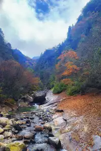 平武老河溝|小眾彩林秘境徒步全攻略