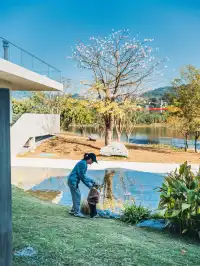 就在深圳超愛的免費寶藏遛娃地，超chill