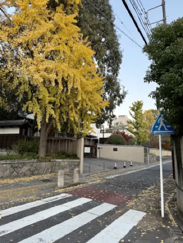 15-Day Autumn Shoryudo Tour in Nagoya