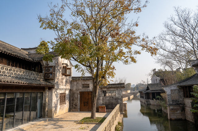 鹽官潮樂之城 · 瓷韻入夢,潮聲為伴 鹽官潮樂之城 · 瓷韻入夢,潮聲為伴